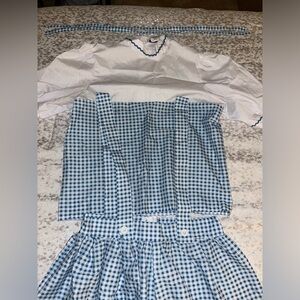Dorothy Wizard of Oz Halloween Costume